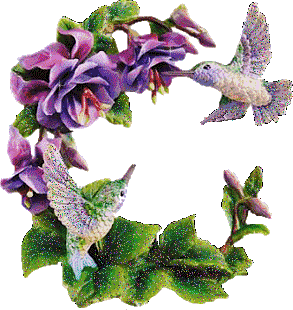 Открытки с колибри скачать бесплатно. Открытки с колибри онлайн.