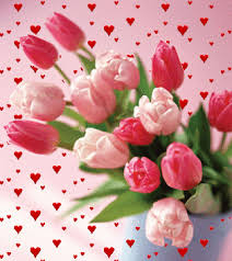 Нежные открытки с розовыми тюльпанами. Открытки с розовыми тюльпанами скачать.