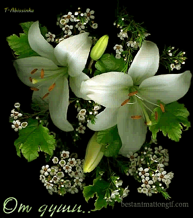 Открытки с букетом лилий скачать бесплатно. Красивые открытки с букетом лилий.