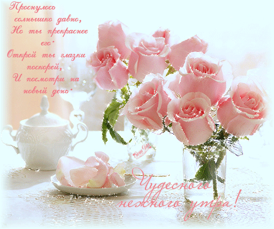 Чудесные открытки с розовыми розами скачать бесплатно gif.