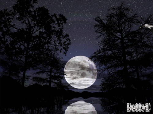 Открытки с Луной в ночном небе скачать бесплатно. Открытки с Луной gif.
