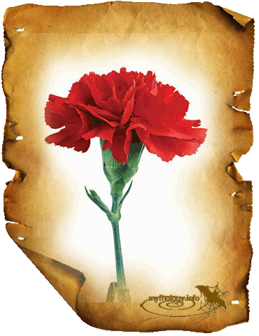 Открытки с гвоздиками скачать. Открытки с гвоздиками онлайн.