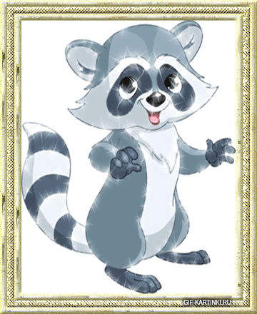 Открытки с енотами скачать бесплатно. Открытки с енотами gif.