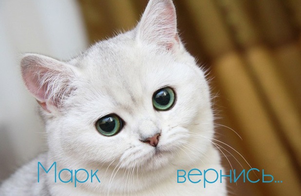 Открытки с именем Марк скачать бесплатно. С днём рождения Марк открытки.