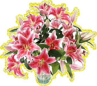 Открытки с розовыми лилиями скачать бесплатно. Открытки с розовыми лилиями ан...