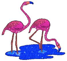 Открытки с фламинго с анимациями. Открытки с фламинго скачать.