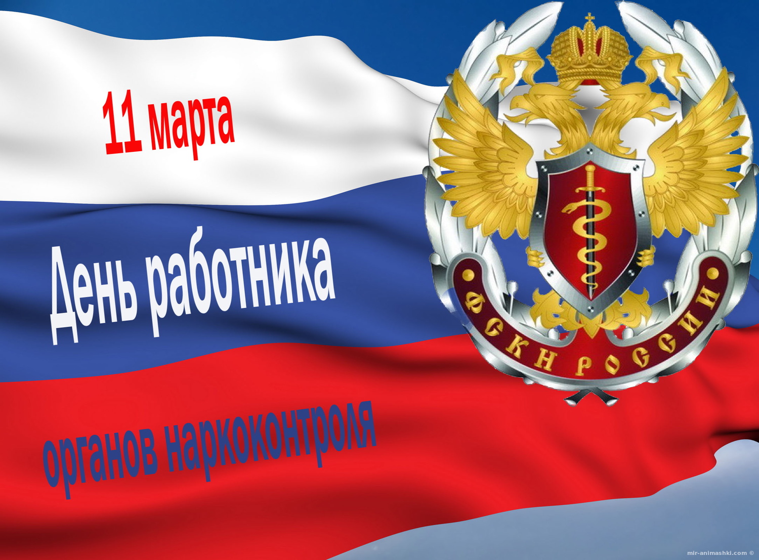 Открытки с днём работника органов наркоконтроля скачать бесплатно.