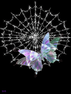 Открытки с паутиной с анимациями. Открытки с паутиной скачать.