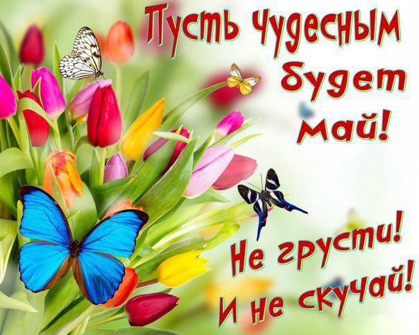 Открытки со стихами о весне скачать бесплатно с анимациями. 