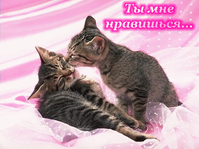 Красивые Открытки ты мне нравишься с признаниями скачать бесплатно.