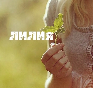 Анимационные открытки с именем Лилия. Открытки с именем Лилия скачать бесплатно.
