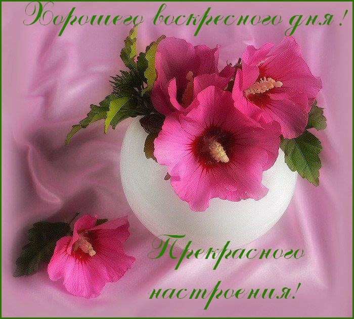 Открытки на воскресенье скачать. Открытки на воскресенье бесплатно.