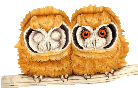 Открытки с совами скачать. Открытки с совами бесплатно онлайн.