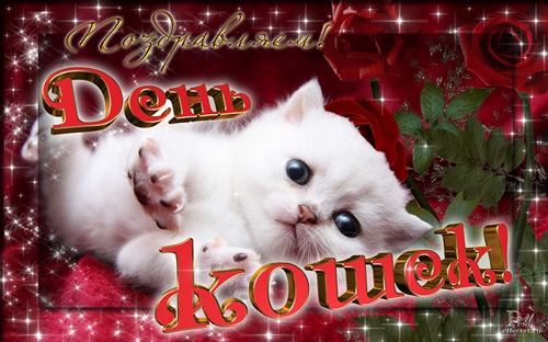 Открытки с Всемирным днём кошек с пожеланиями. Открытки с Всемирным днём коше...