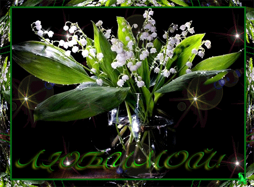 Открытки с ландышами скачать. Открытки с ландышами онлайн бесплатно.