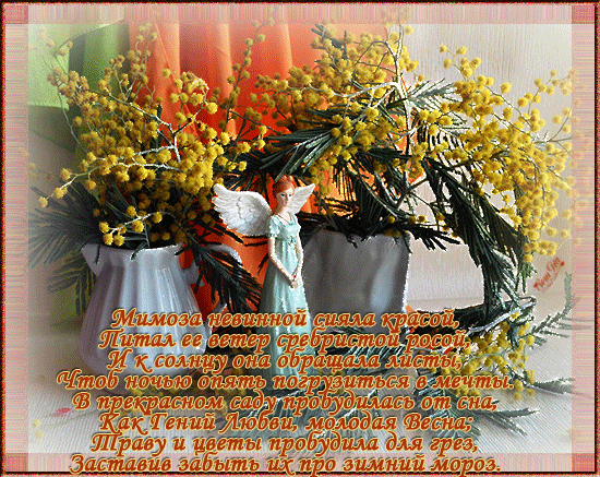 Открытки с мимозой скачать бесплатно. Открытки с мимозой онлайн.