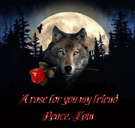 Анимационные открытки с волками. Скачать открытки с волками gif.