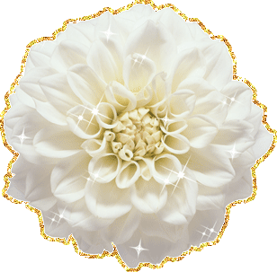 Открытки с георгинами скачать бесплатно. Открытки с георгинами онлайн.