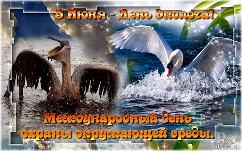 Открытки с днём охраны окружающей среды скачать бесплатно.   