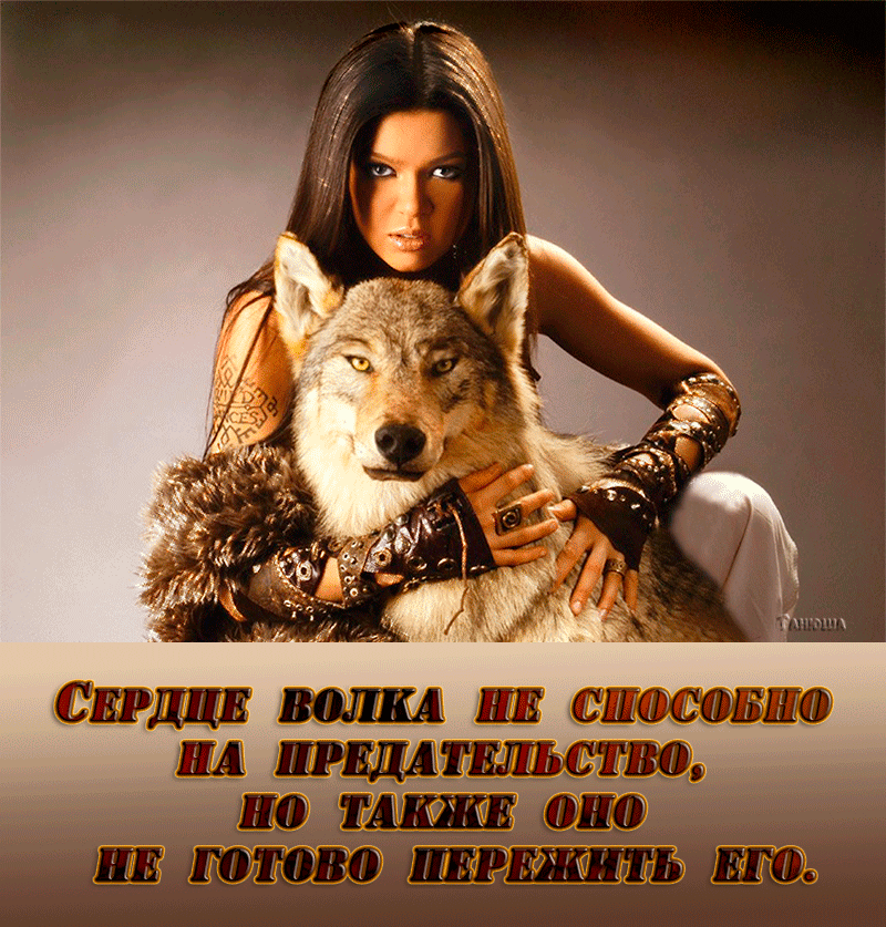 Анимационные открытки с волками. Скачать открытки с волками gif.