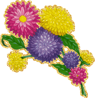 Открытки с астрами скачать бесплатно. Открытки с астрами онлайн.