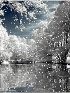 Открытки с зимней природой скачать бесплатно. Открытки с зимней природой онлайн.