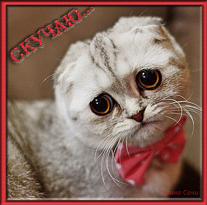  Открытки скучаю по тебе с признанием скачать бесплатно gif.