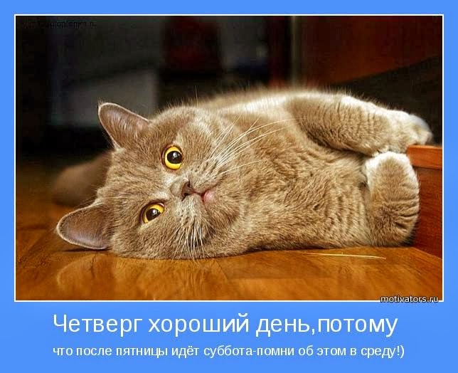 Привет четверг. Открытки с приколами и пожеланиями на четверг