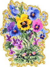 Открытки с разноцветными анютиными глазками скачать бесплатно.