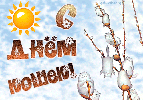 Скачать красивые анимационные Открытки ко дню кошек бесплатно.