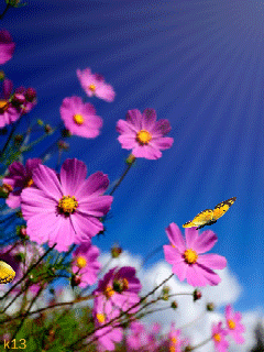 Открытки с космеями анимационные. Открытки с космеями gif.  