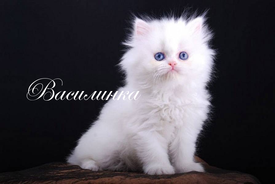 Открытки с именем Василиса скачать бесплатно. с днём рождения Василиса открытки.