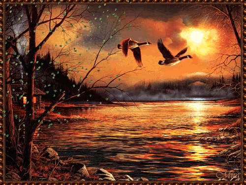 Открытки с парящими в небе птицами скачать бесплатно. Открытки с парящими в н...