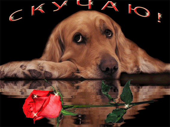  Открытки скучаю по тебе с признанием скачать бесплатно gif.