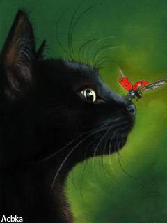 Открытки с божьей коровкой скачать бесплатно. Открытки с божьей коровкой онлайн.