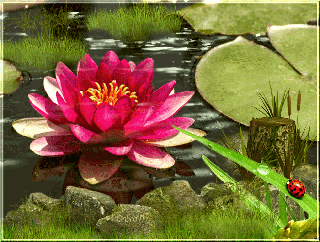 Открытки с божьей коровкой скачать бесплатно. Открытки с божьей коровкой онлайн.