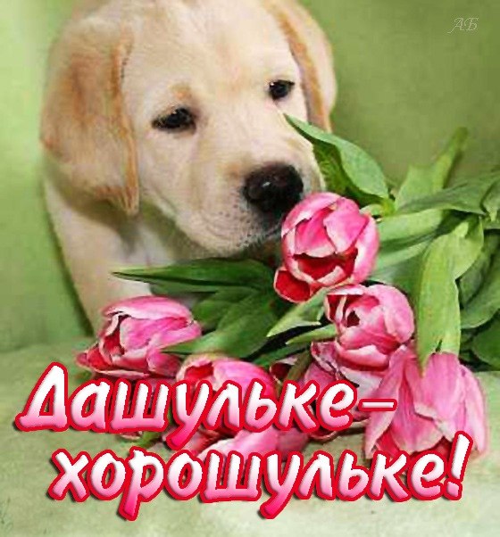 Открытки с именем Дарья скачать бесплатно. Поздравления с женскими именами.