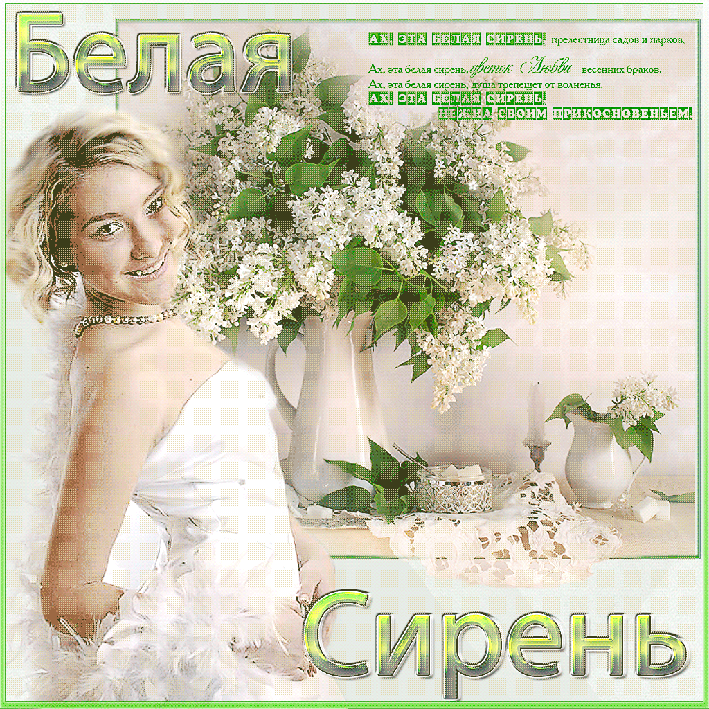 Открытки с белой сиренью анимационные. Открытки с белой сиренью gif.