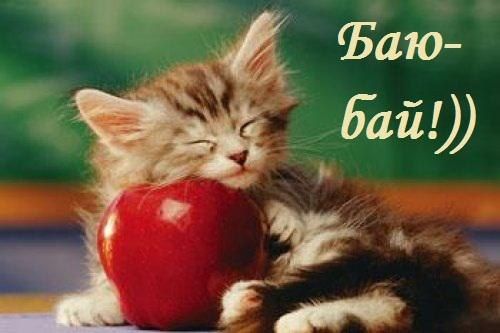 Гифки с пожеланиями сладких снов с котиками