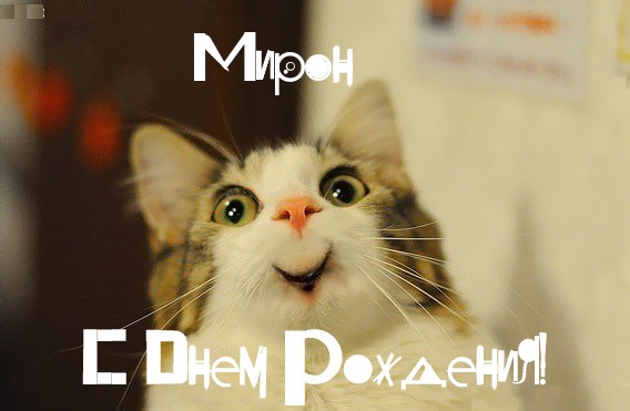 Открытки с именем Мирон скачать бесплатно. Красивые открытки с мужскими именами.