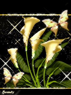 Открытки с каллами скачать бесплатно. Открытки с каллами онлайн.