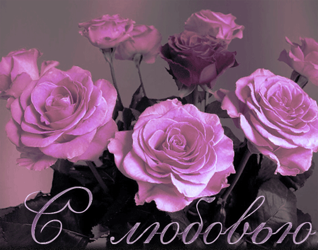 Чудесные открытки с розовыми розами скачать бесплатно gif.