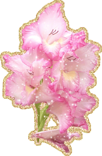 Открытки с альстромериями анимационные. Открытки с альстромериями скачать.