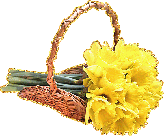 Открытки с желтыми нарциссами скачать бесплатно. Открытки с желтыми нарциссам...