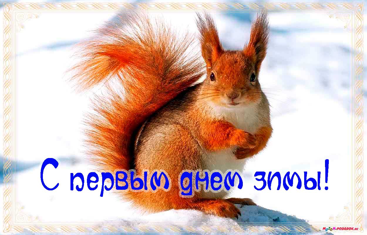 Открытки с первым днём зимы скачать бесплатно. Открытки с первым днём зимы gif.