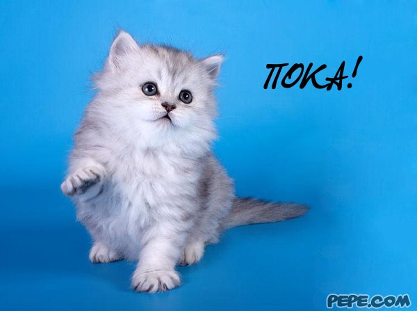 Открытки с прощанием с текстом пока пока