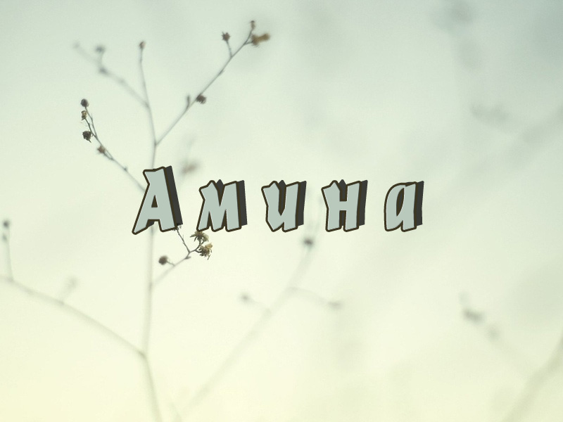 Открытки с именем Амина скачать бесплатно. С днём рождения Амина открытки.