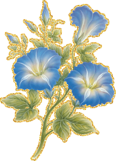 Открытки с вьюнками анимационные. Открытки с вьюнками онлайн.