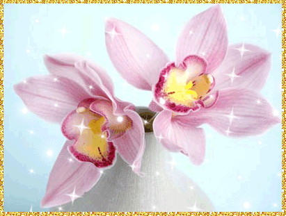 Открытки с розовыми орхидеями скачать бесплатно. Открытки с розовыми орхидеям...