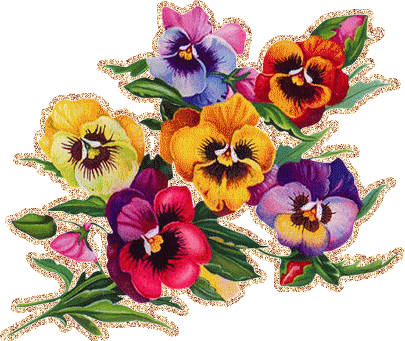 Открытки с разноцветными анютиными глазками скачать бесплатно.